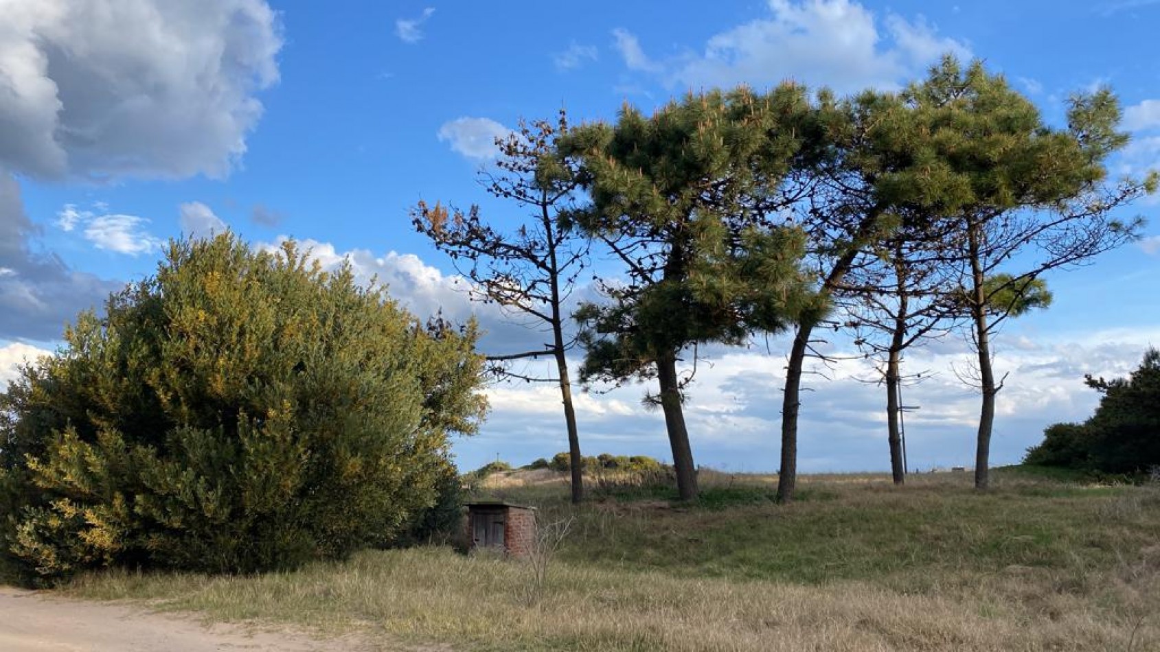 Venta de lote en Pinamar Norte sobre Libertador