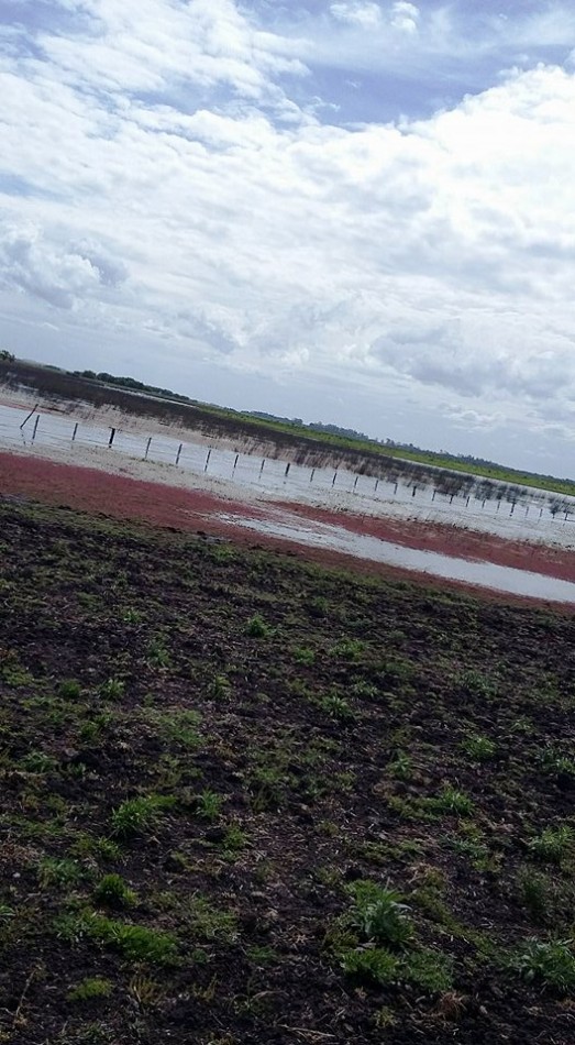 CHACRA A 10 MIN. PINAMAR .ACEPTA PERMUTA