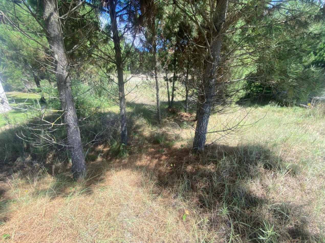 COSTA ESMERALDA GOLF II LOTE 661