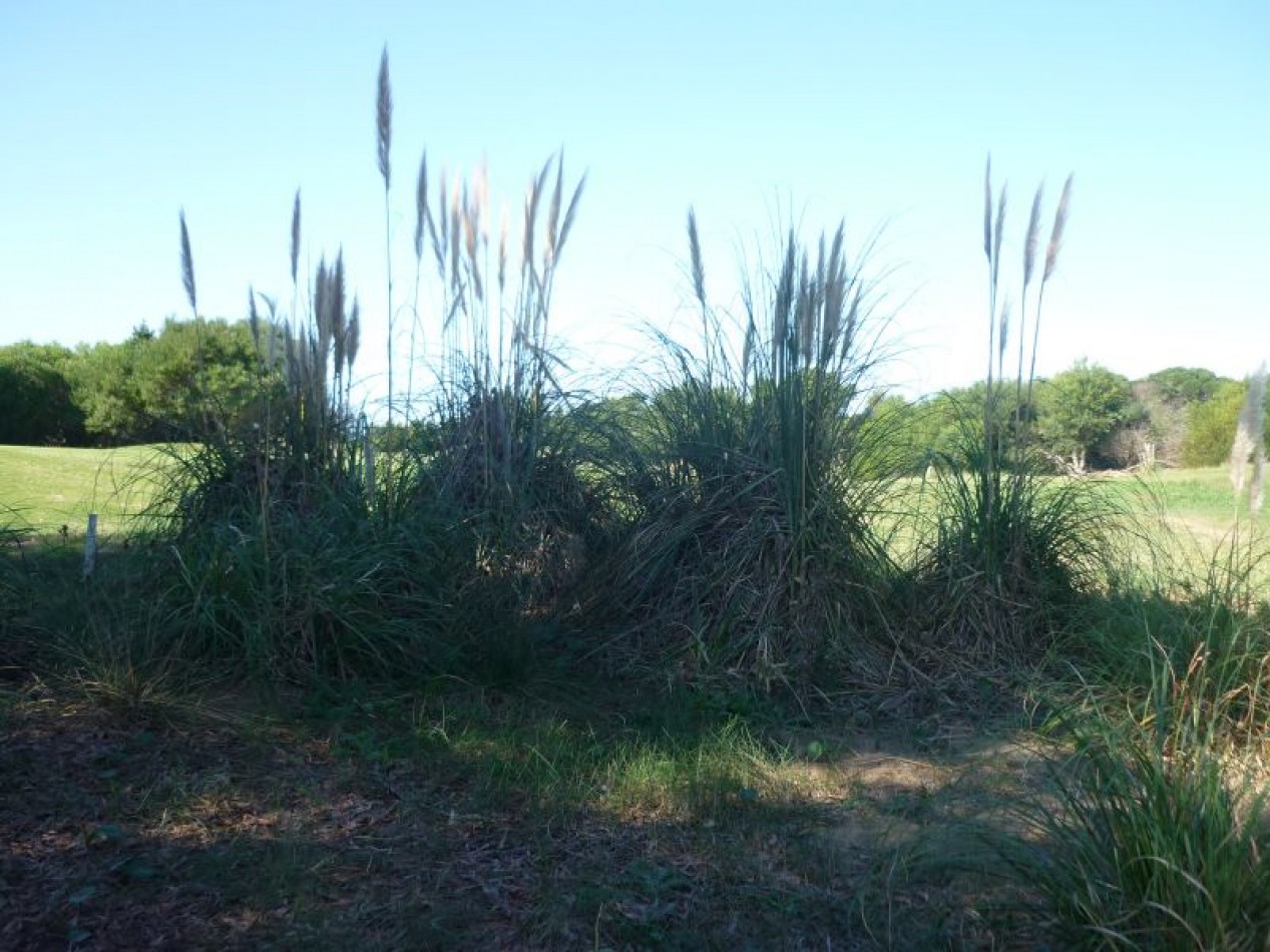 COSTA ESMERALDA Casa Golf I 197