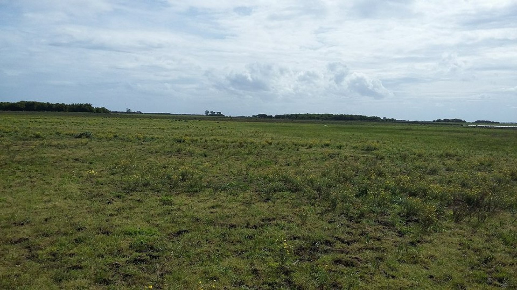 6 Ha. Zona Gral. Madariaga (Codigo: 209389)