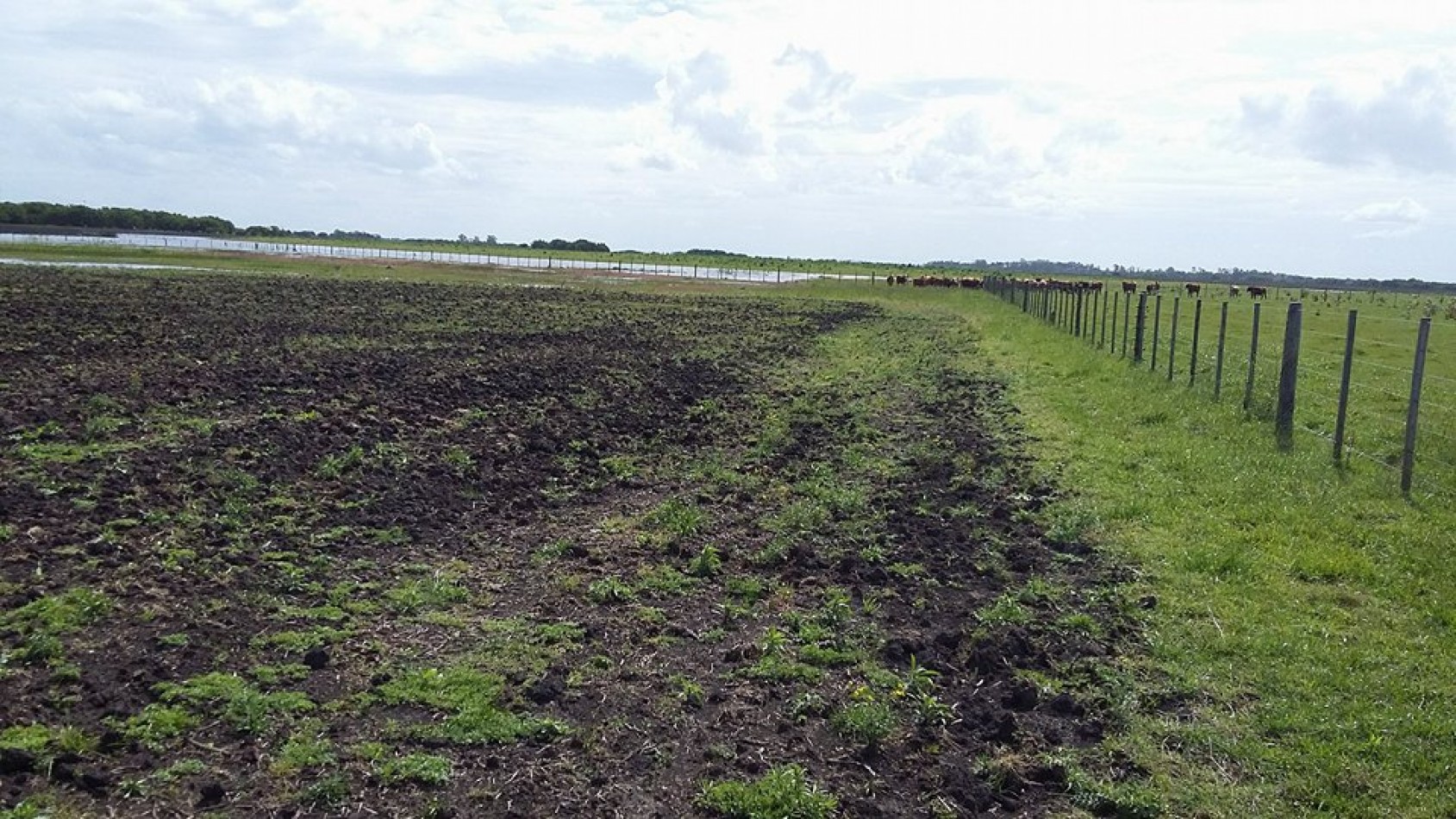 6 Ha. Zona Gral. Madariaga (Codigo: 209389)