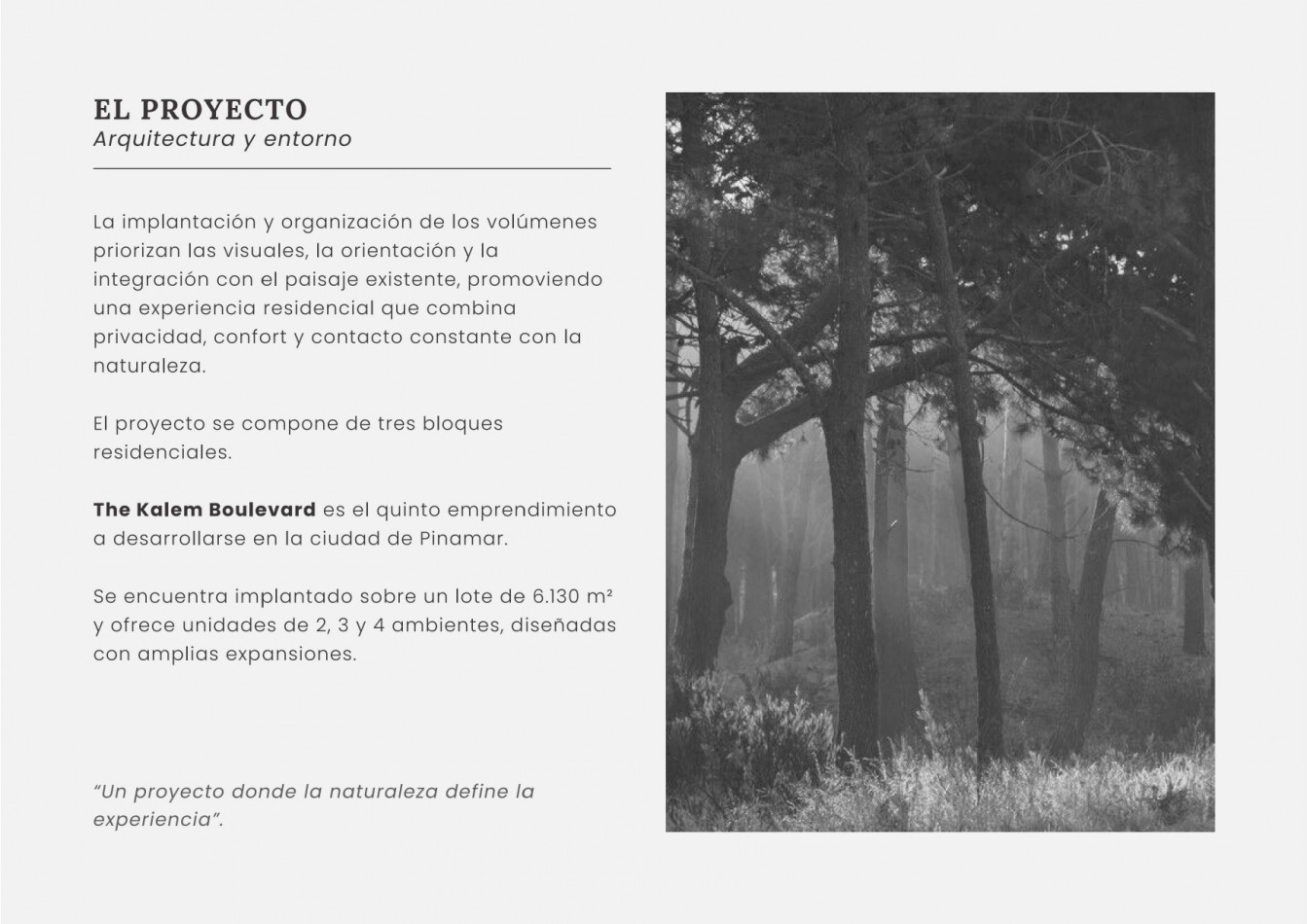 Kalem Boulevard (cod 210105)