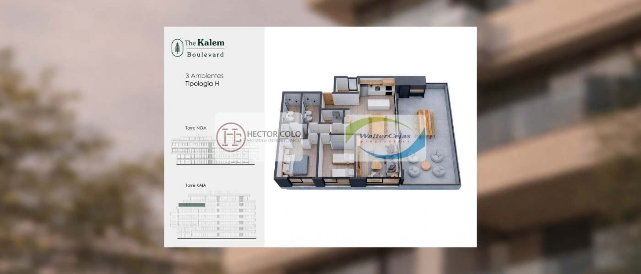 Kalem Boulevard (cod 210105)