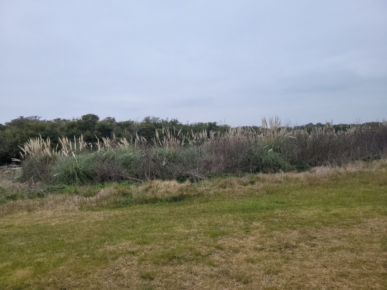Venta Terreno Chacra LAGUNA DEL ROSARIO