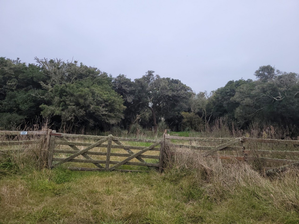 Venta Terreno Chacra LAGUNA DEL ROSARIO