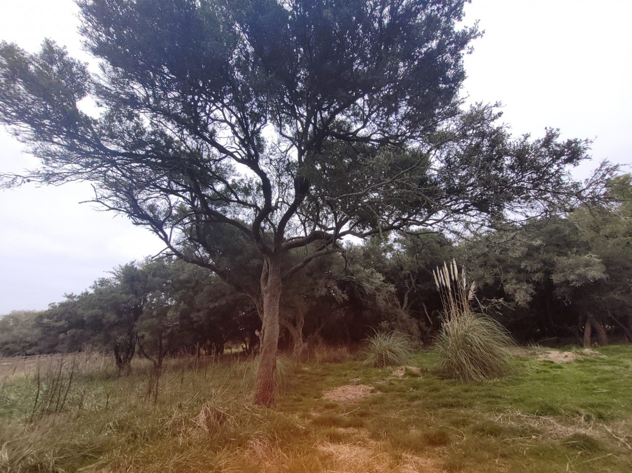 Venta Terreno Chacra LAGUNA DEL ROSARIO