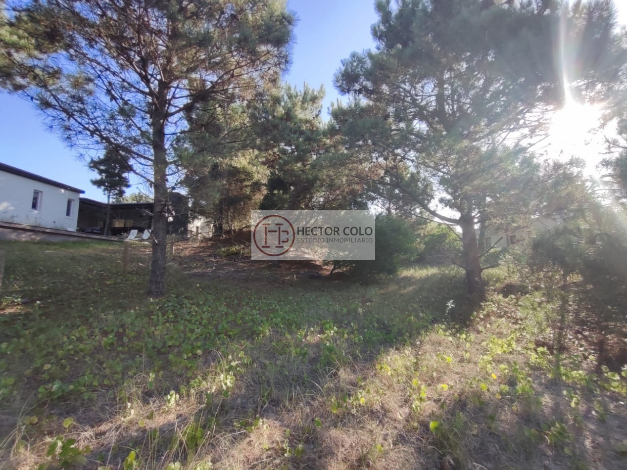 COSTA ESMERALDA.- Lote Ecuestre 46