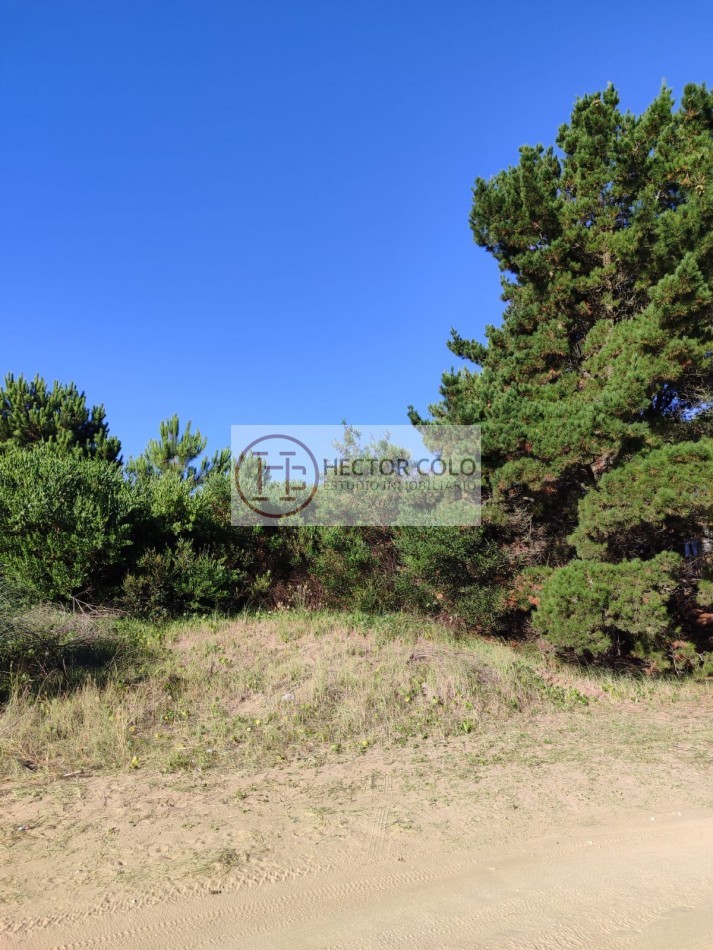 COSTA ESMERALDA.- Lote Ecuestre 46