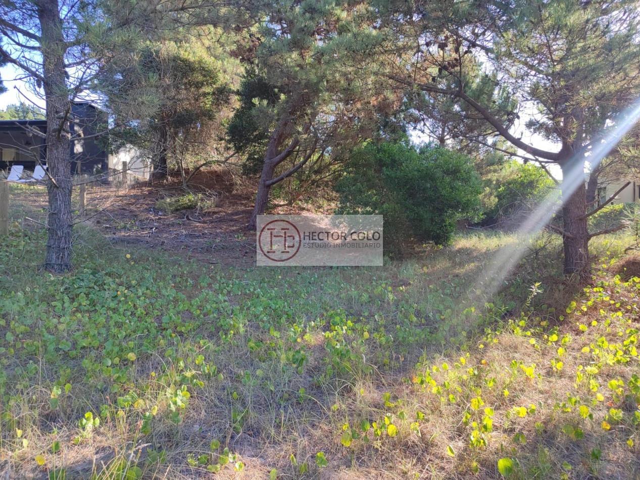 COSTA ESMERALDA.- Lote Ecuestre 46