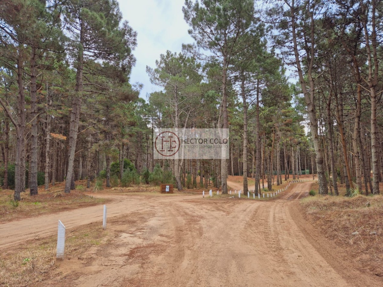Venta de lote Villarobles