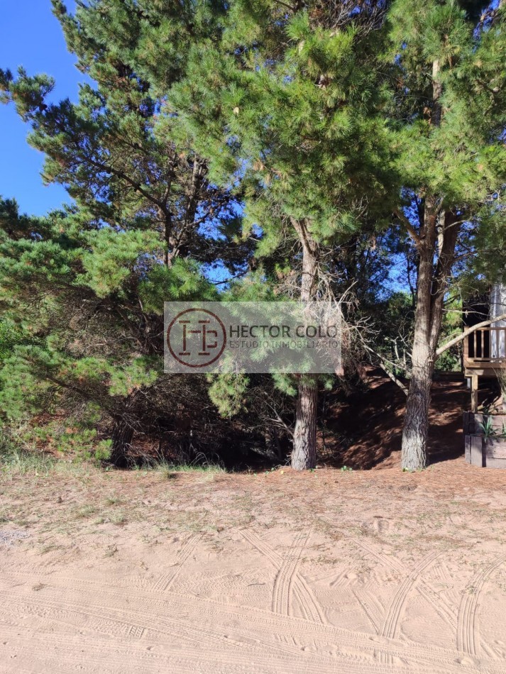 COSTA ESMERALDA.- Lote Ecuestre 46