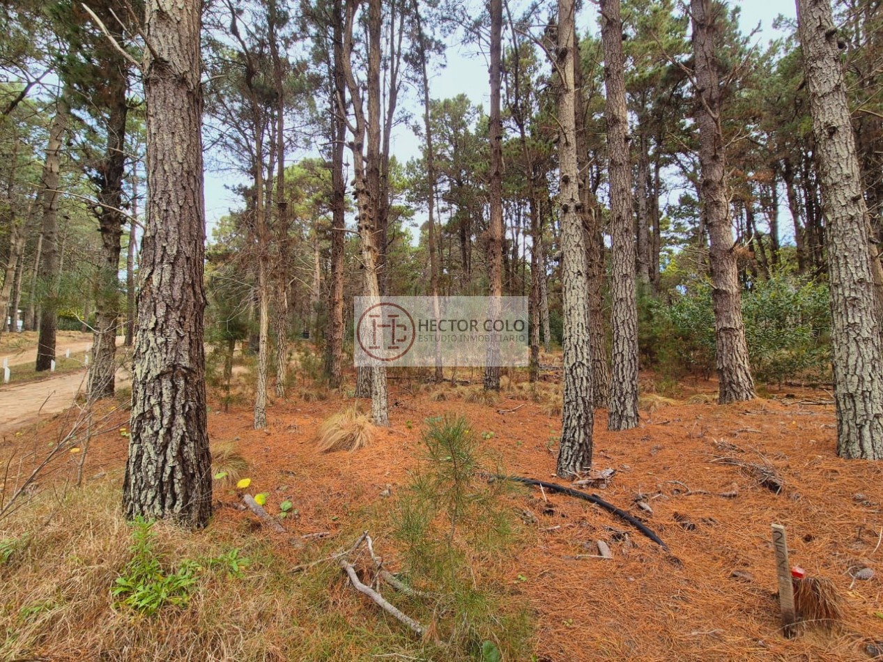 Venta de lote Villarobles