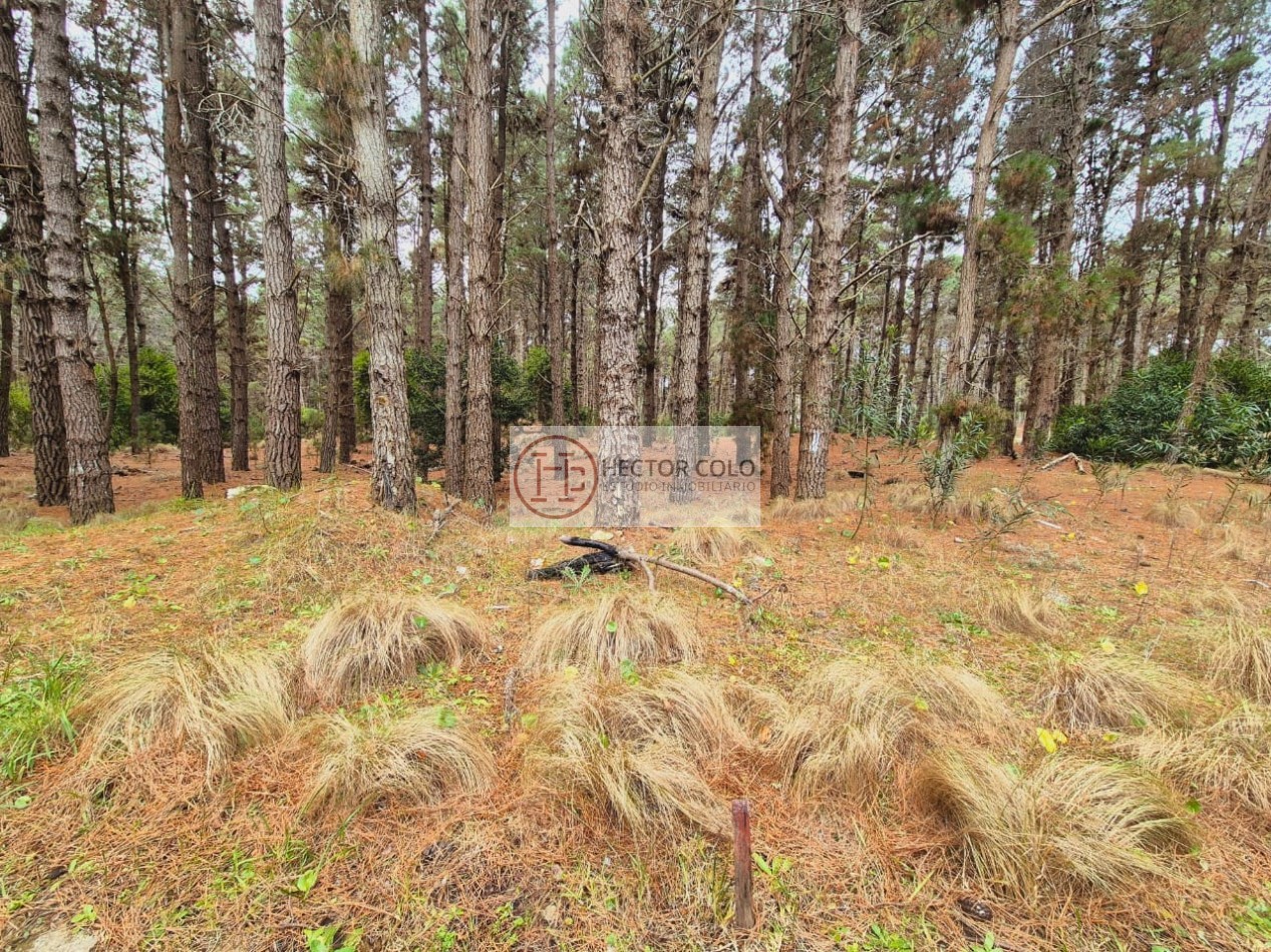 Venta de lote Villarobles