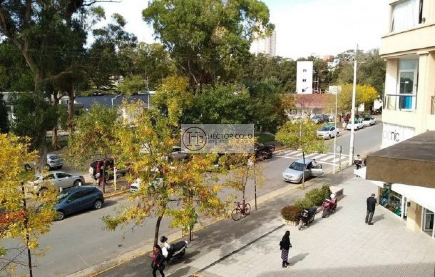 DEPARTAMENTO CENTRICO PINAMAR 