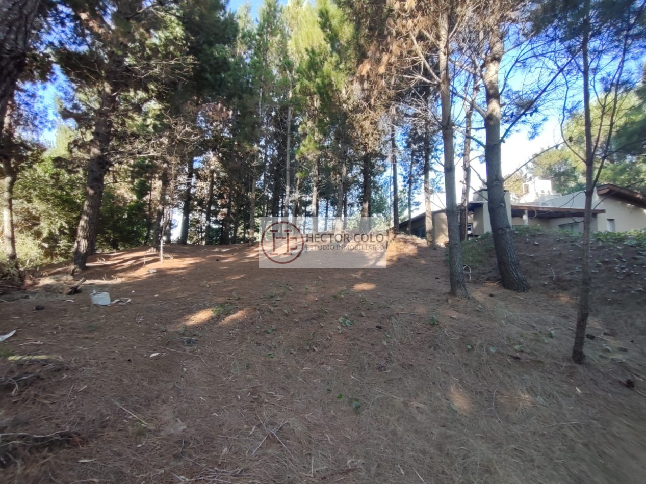 COSTA ESMERALDA .- Deportivo lote 408