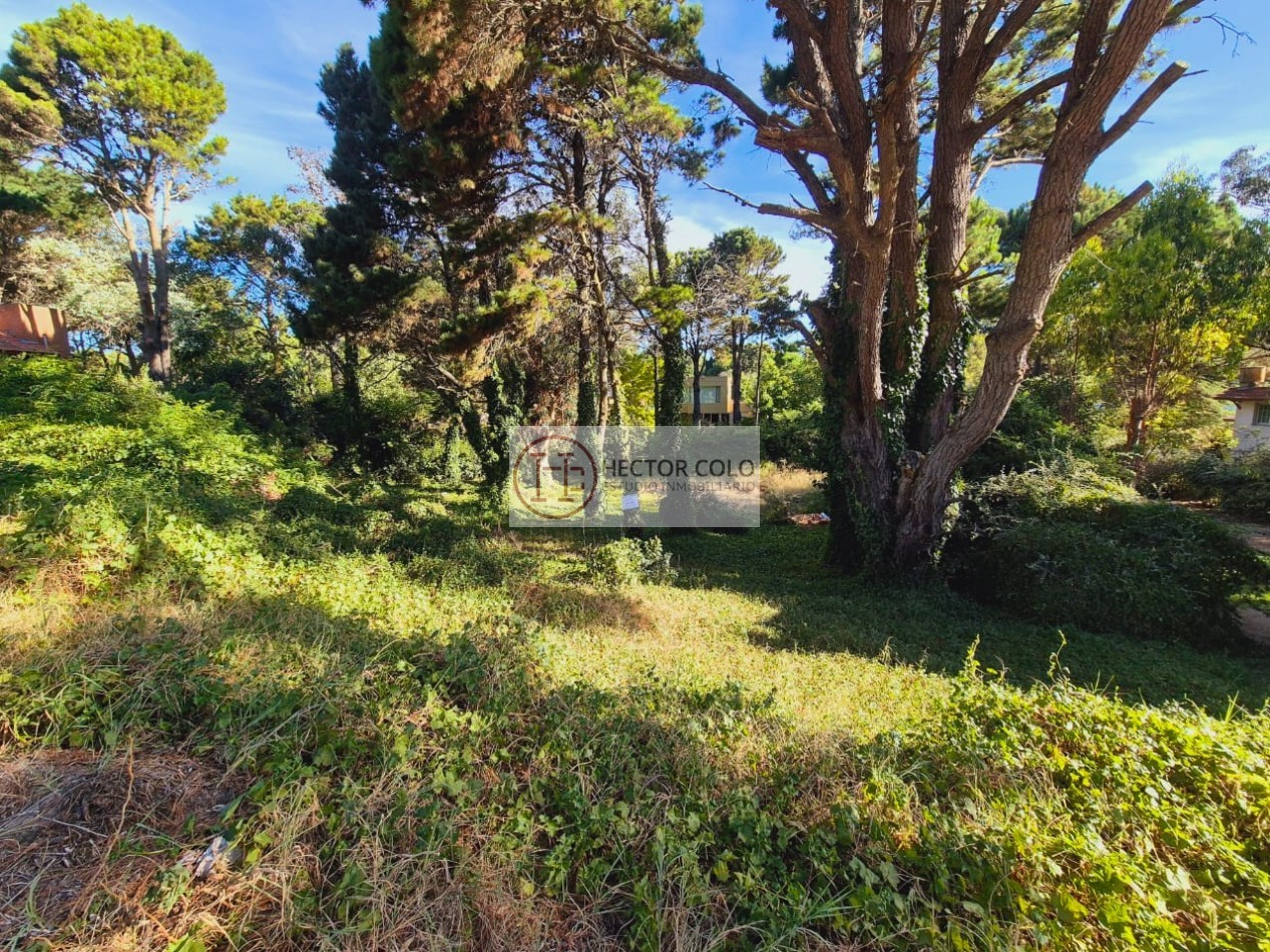 Lote en Valeria del Mar