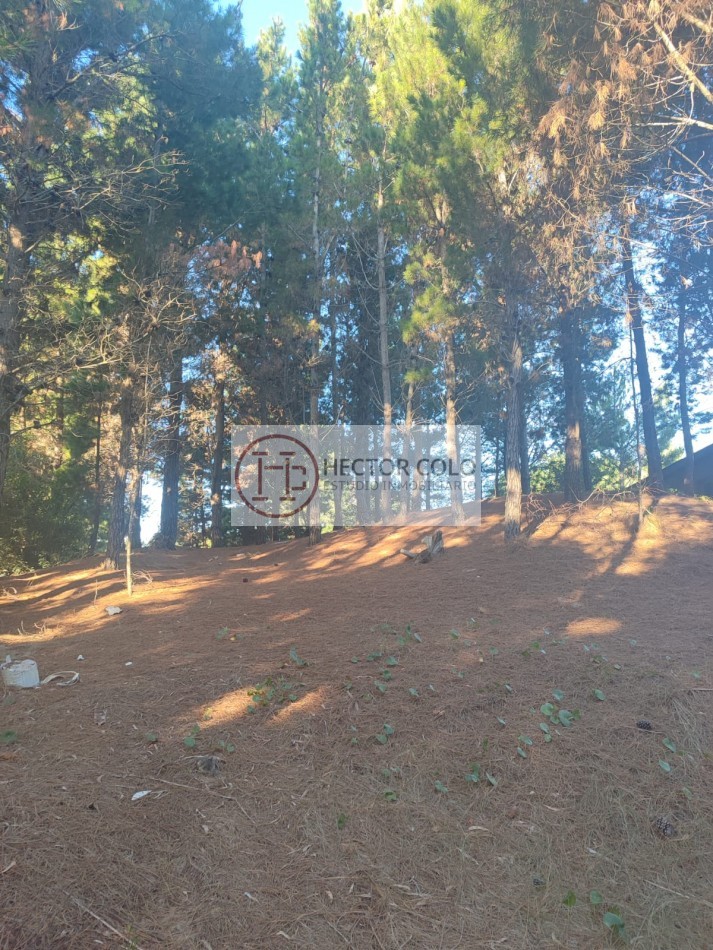 COSTA ESMERALDA .- Deportivo lote 408