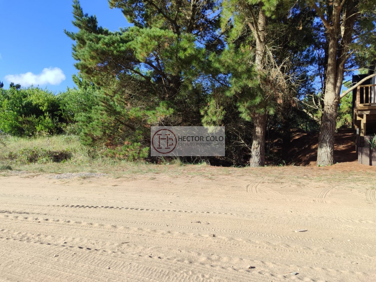 COSTA ESMERALDA.- Lote Ecuestre 46