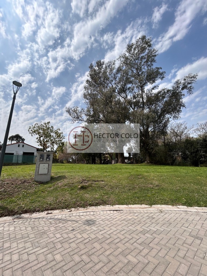 Lotes en Barrio Privado Boutique Fincas Don Victor