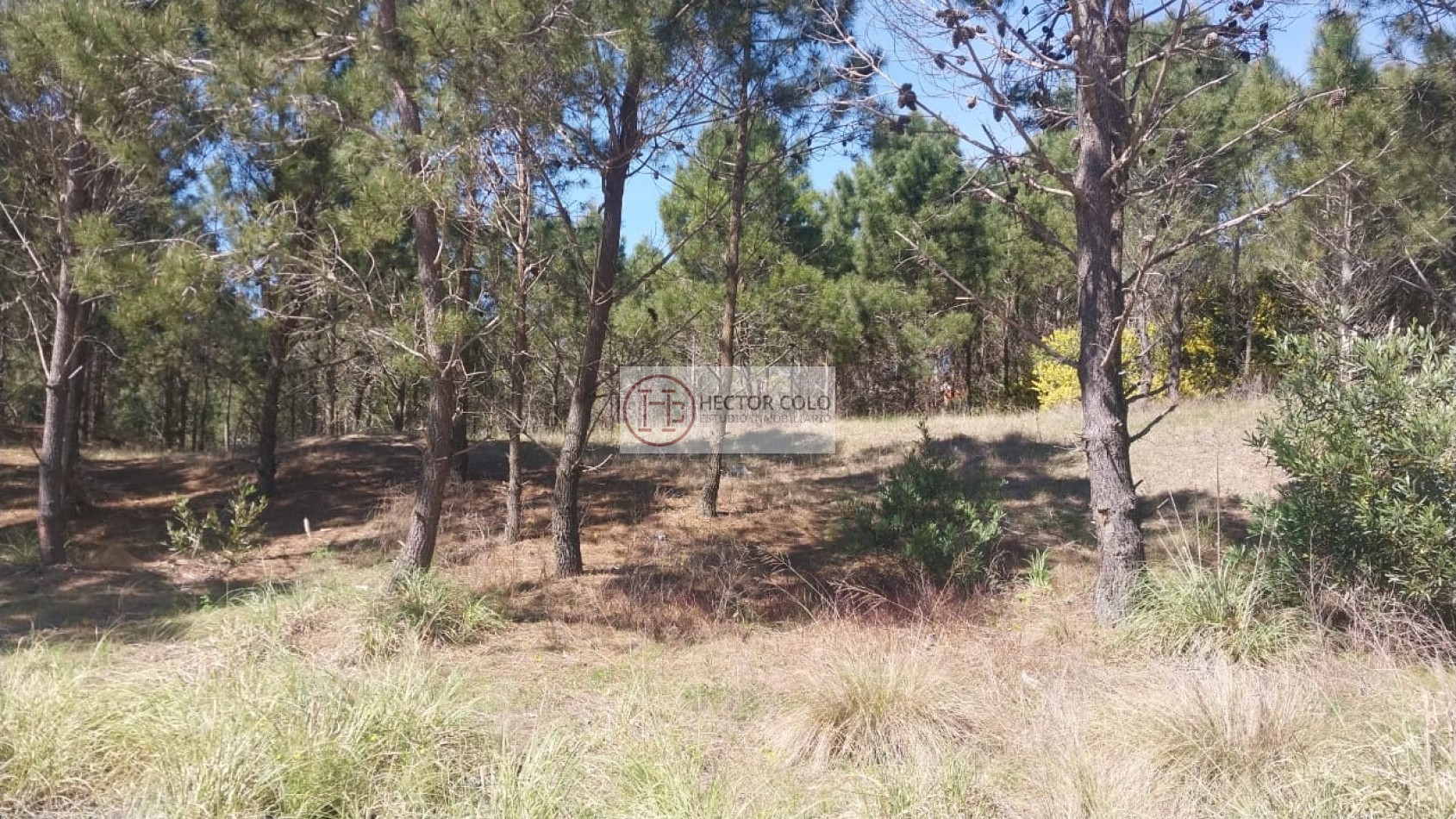 Venta terreno Costa Esmeralda 