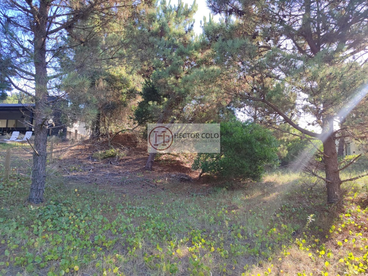 COSTA ESMERALDA.- Lote Ecuestre 46