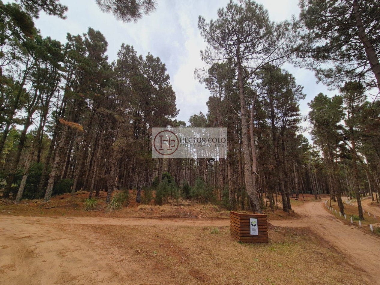 Venta de lote Villarobles