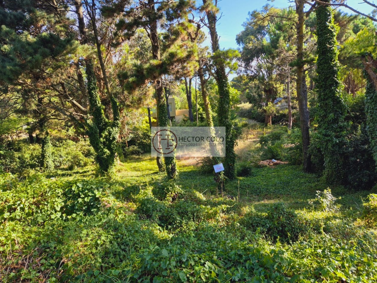 Lote en Valeria del Mar