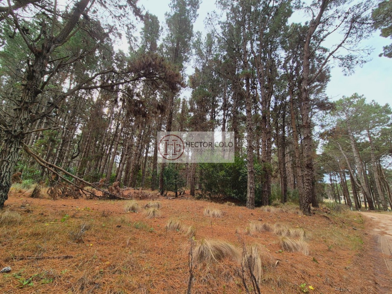 Venta de lote Villarobles
