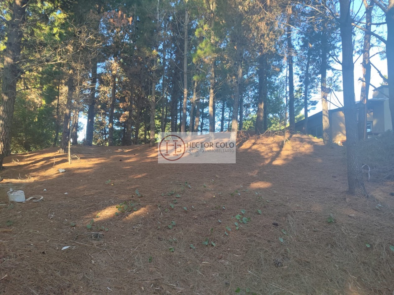 COSTA ESMERALDA .- Deportivo lote 408