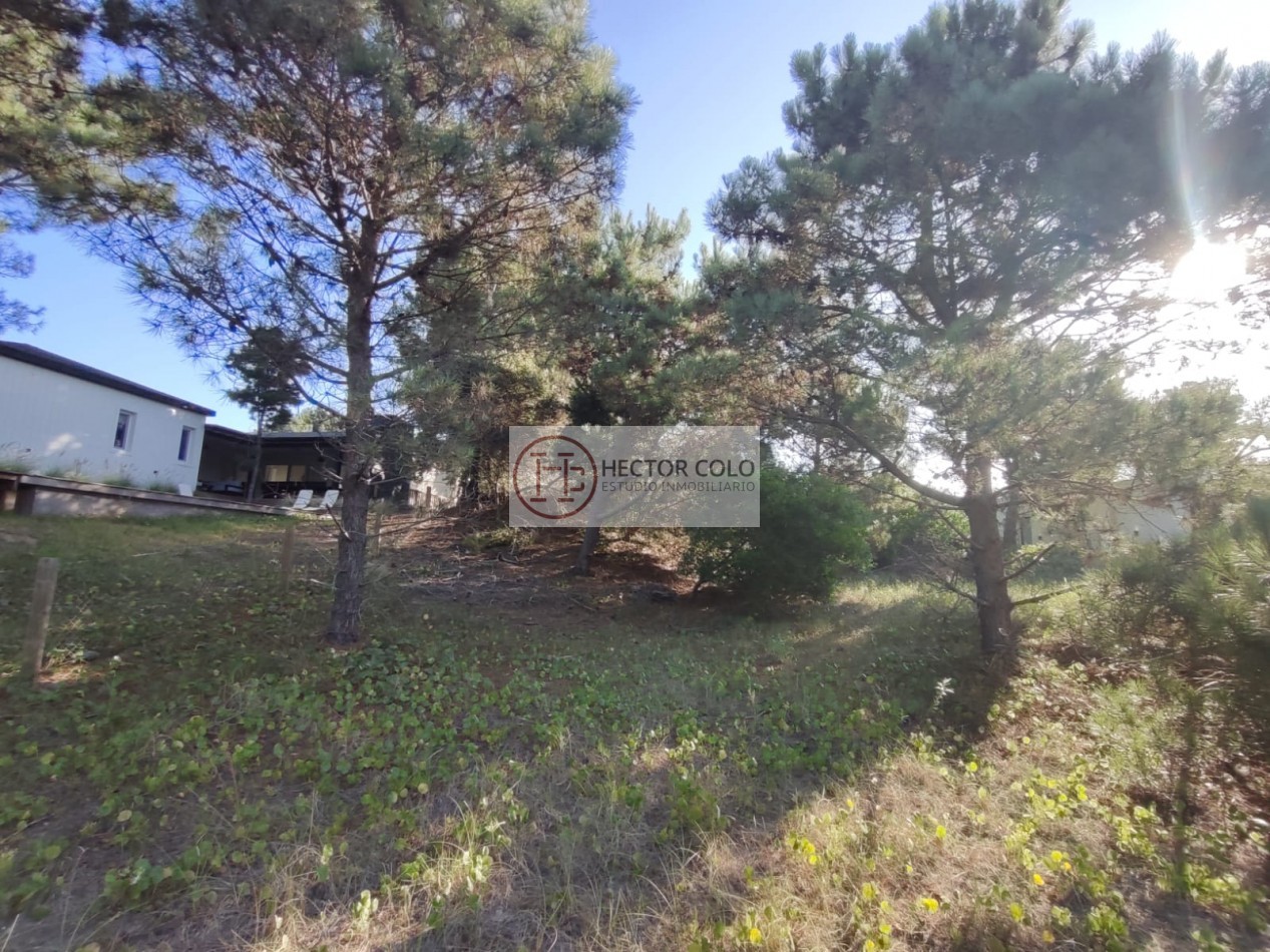 COSTA ESMERALDA.- Lote Ecuestre 46