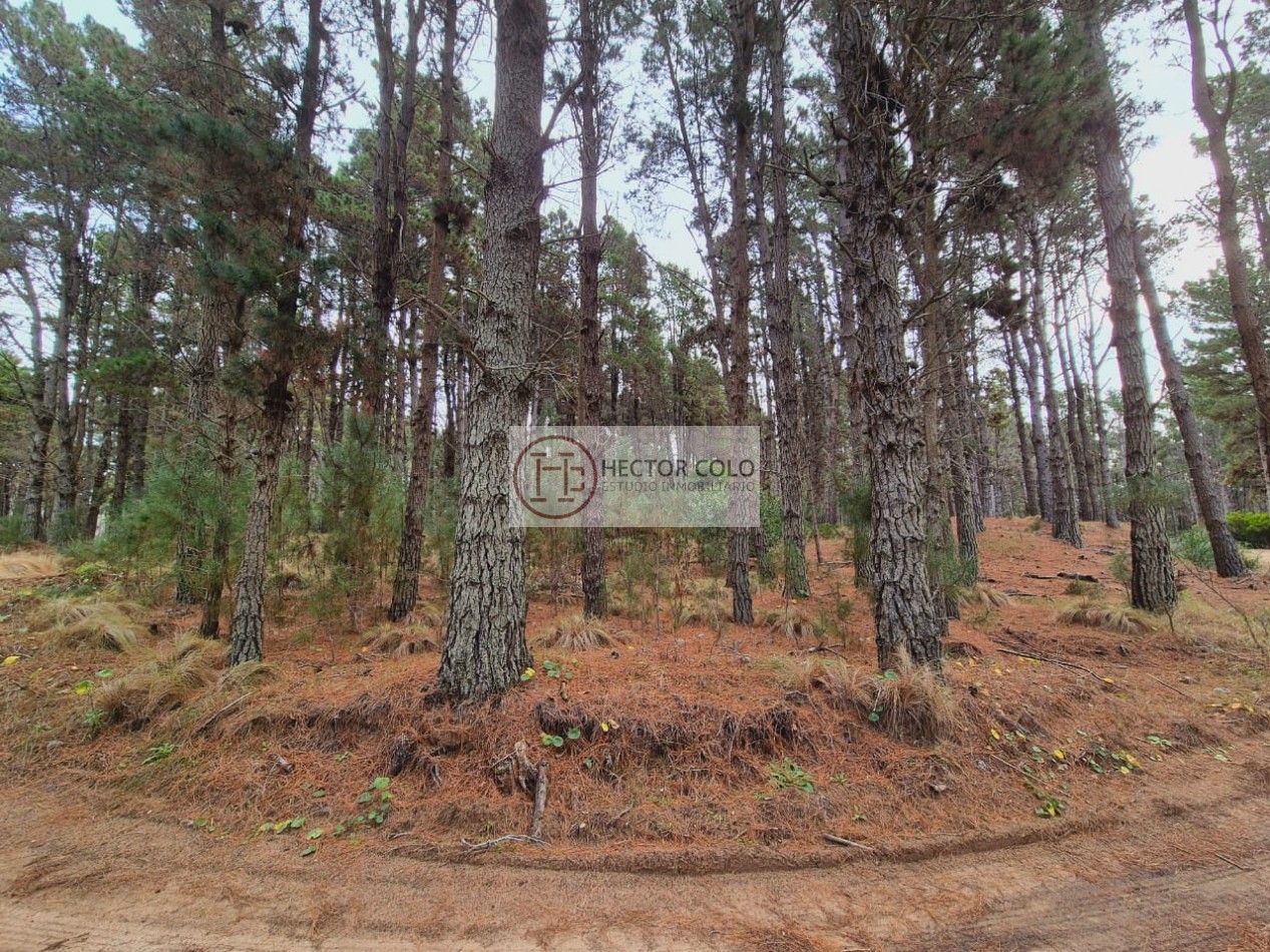 Venta de lote Villarobles