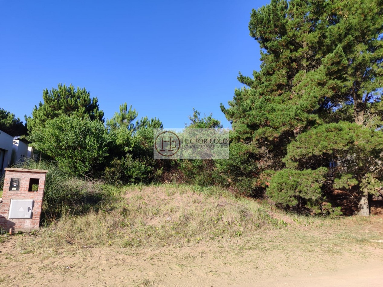 COSTA ESMERALDA.- Lote Ecuestre 46