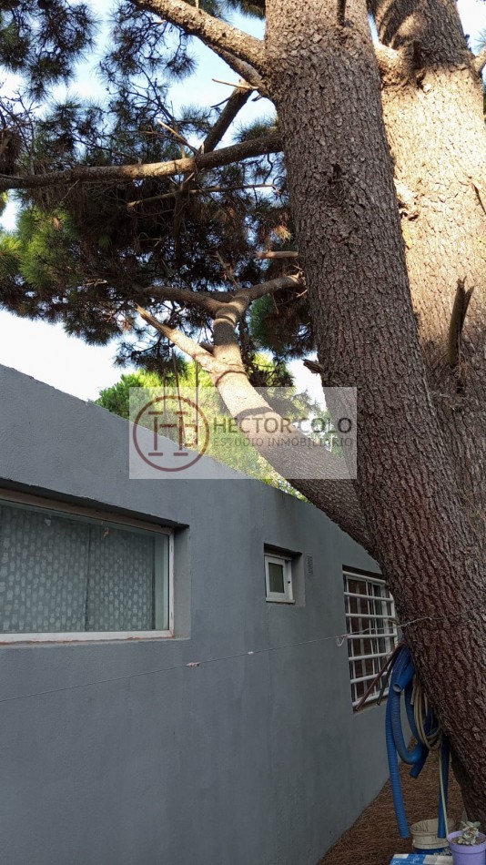 CASA OSTENDE - PERMUTA DUPLEX VILLA GESELL