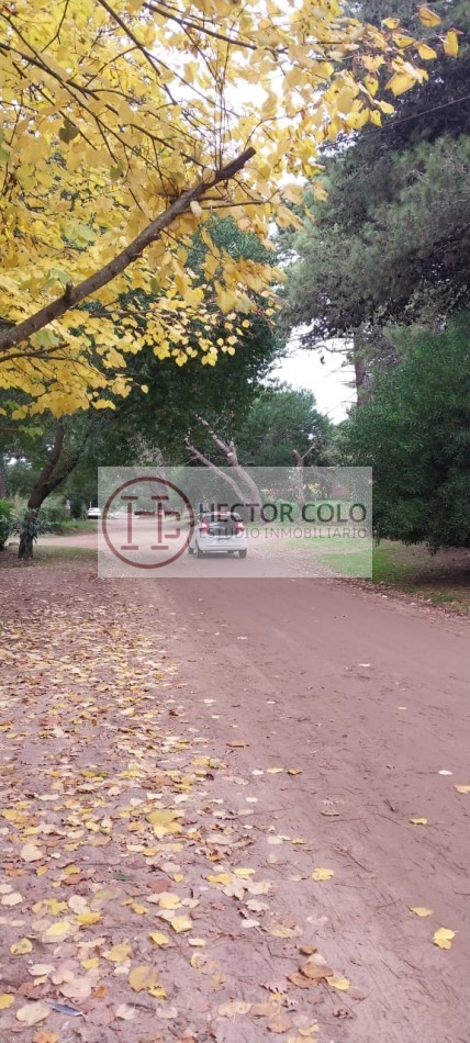 Lote en Urtubey  ante esquina Junin OPORTUNIDAD