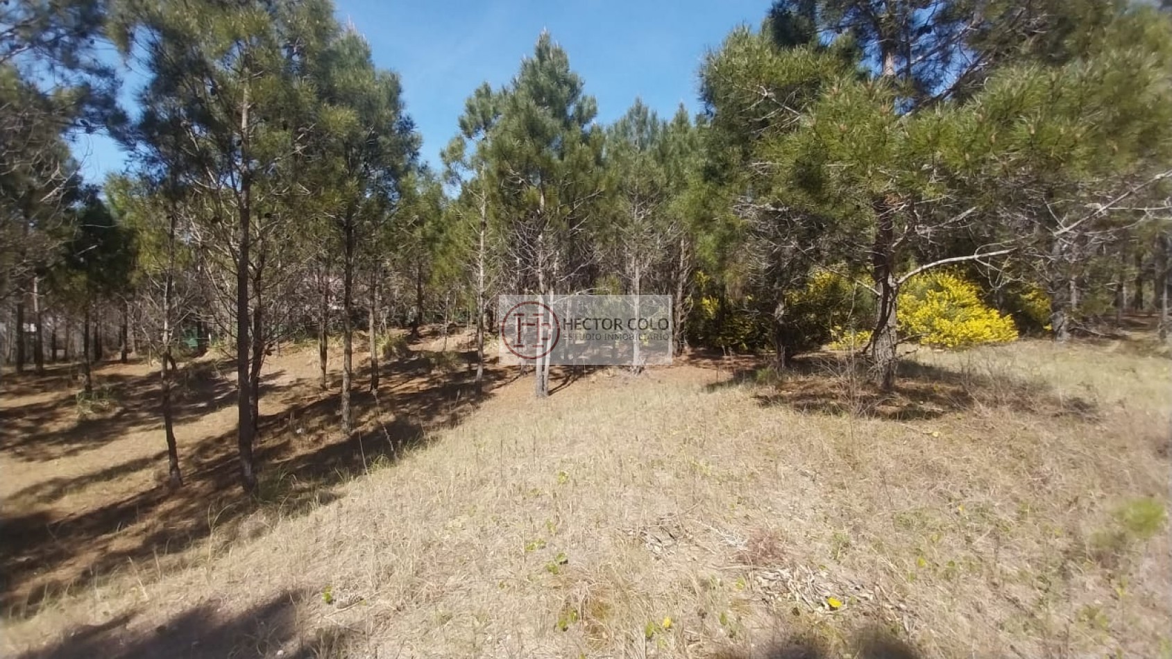 Venta terreno Costa Esmeralda 
