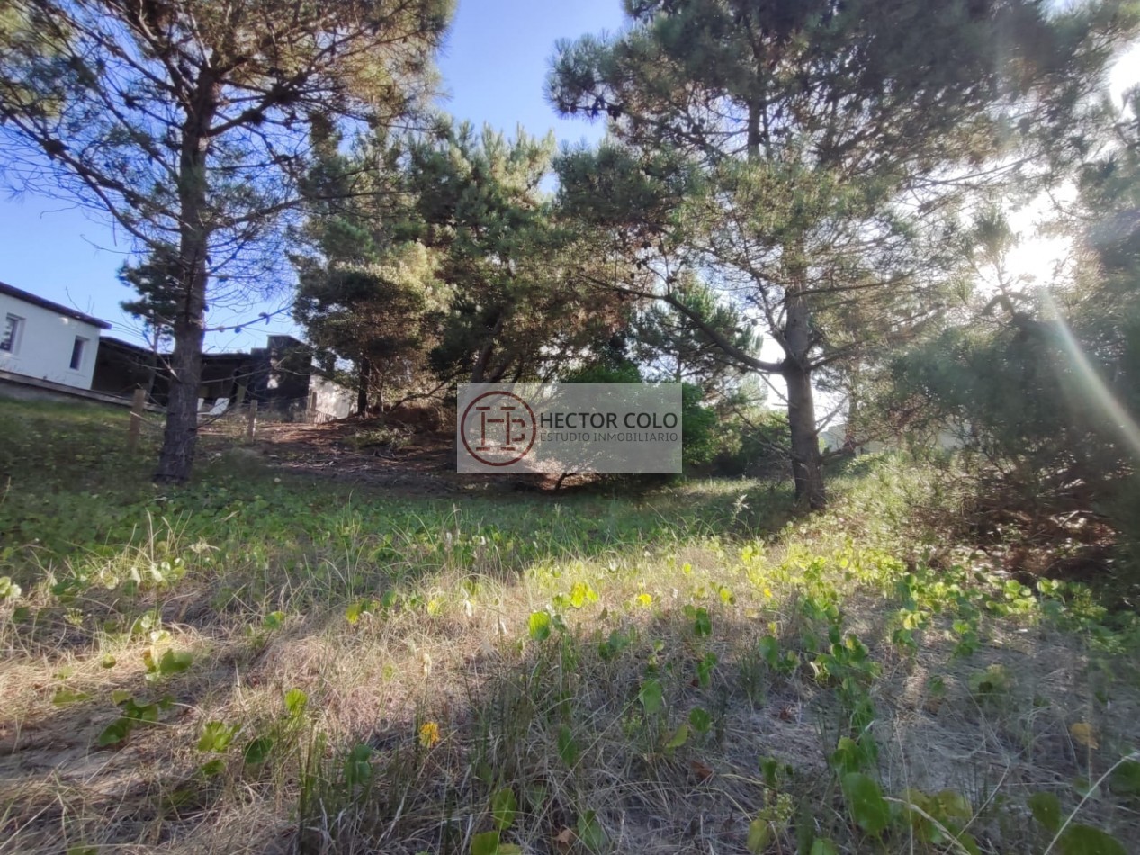 COSTA ESMERALDA.- Lote Ecuestre 46