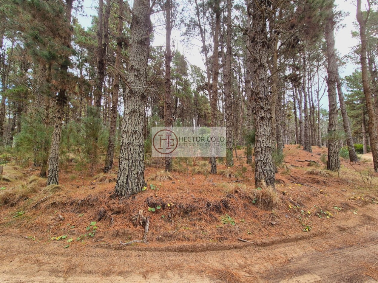 Venta de lote Villarobles
