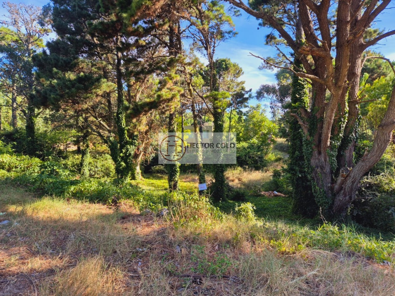 Lote en Valeria del Mar