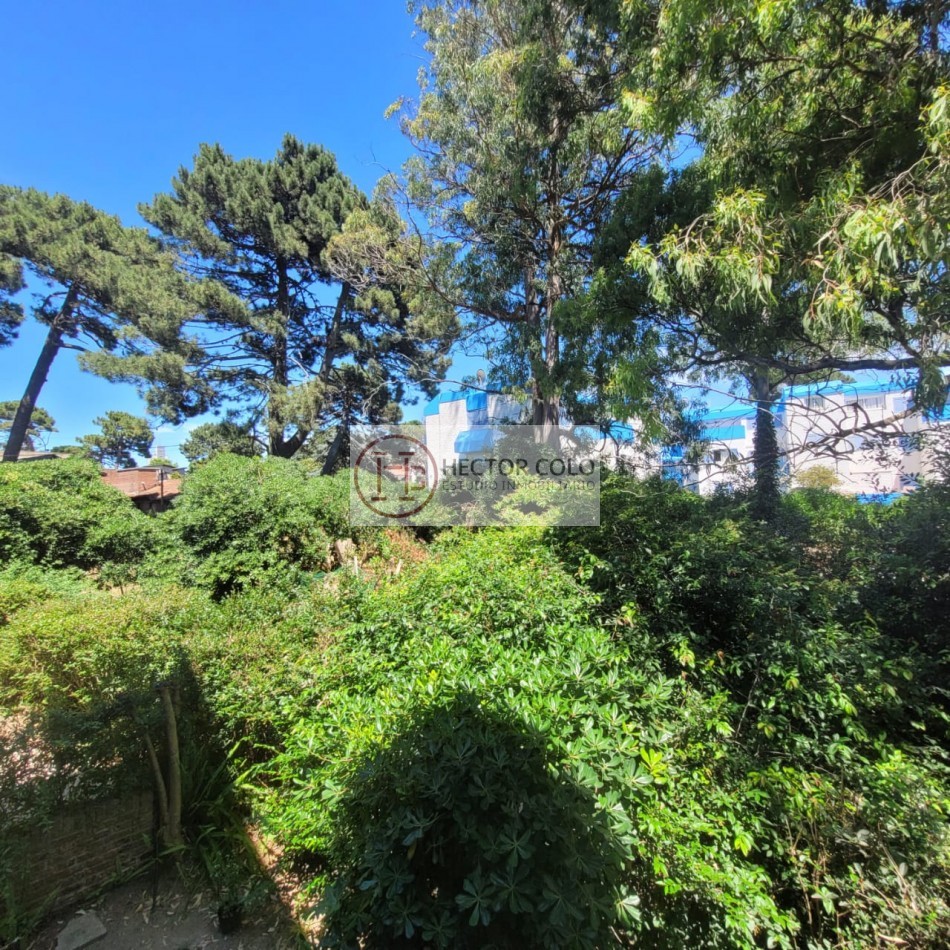 DEPARTAMENTO EN ALQUILER-ZONA CENTRO-