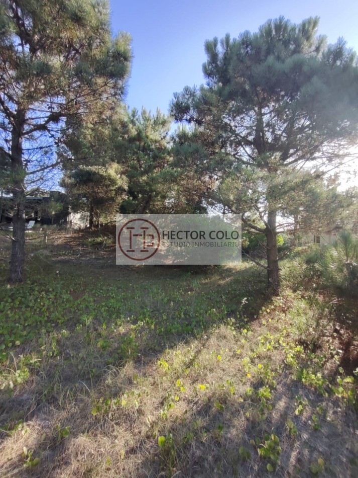 COSTA ESMERALDA.- Lote Ecuestre 46