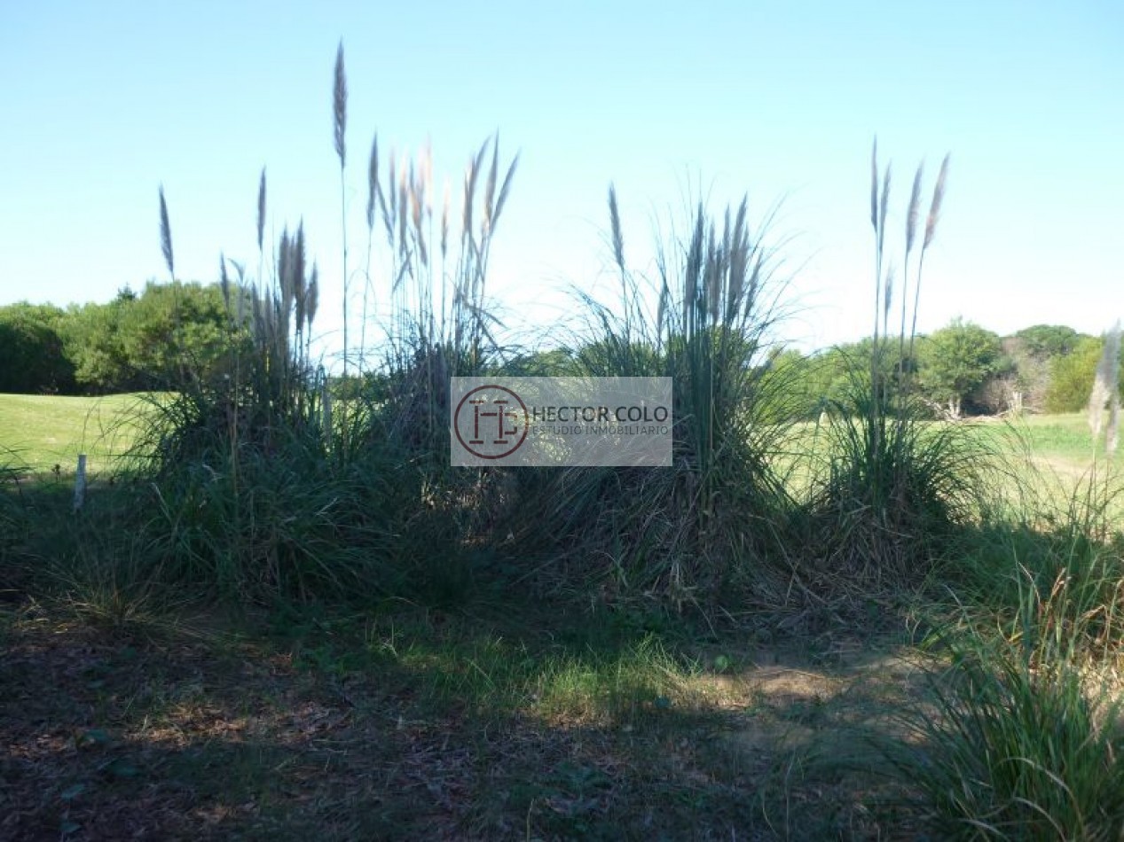 ALQUILER TEMPORAL Golf 197