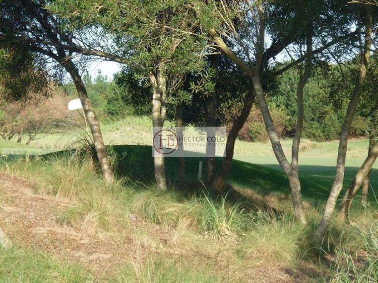 ALQUILER TEMPORAL Golf 197