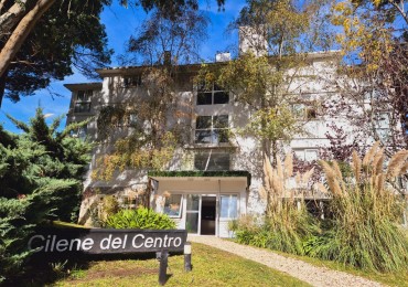 Departamento 2 ambientes Cilene Centro ( Codigo 206090)