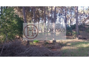 Venta de lote en Alamos