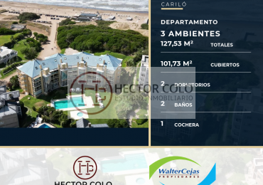 Venta departamento Carilo