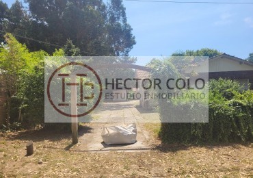 LOTE ESTRATEGICO EN VENTA EN  PINAMAR CENTRO ( Codigo 203238 )