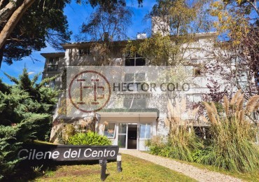 Venta Departamento Carilo