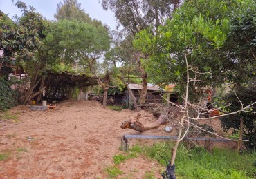 Venta de lote Multifamiliar, Valeria del Mar
