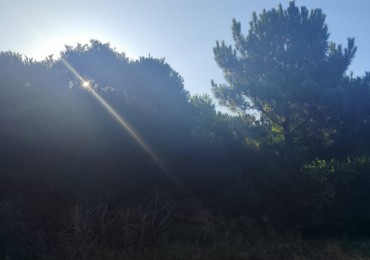 Venta Terreno Costa Esmeralda